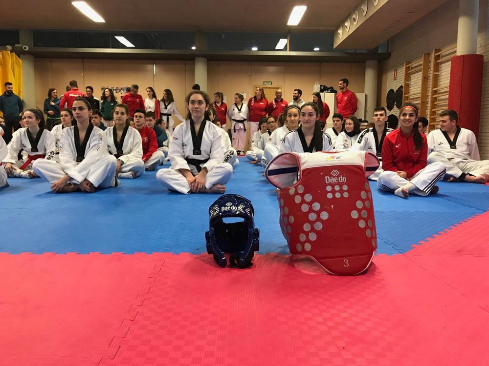 STAGE DE TAEKWONDO ALTO NIVEL Dragan Jovic